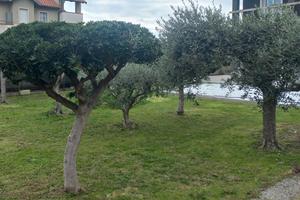 Privato vende con trattativa riservata NO AGENZIA