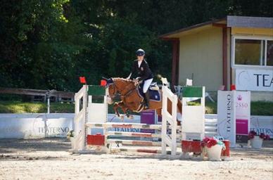 Pony sportiva 9 anni - 147 h