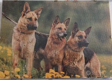 puzzle cani lupo