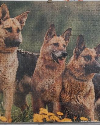 puzzle cani lupo