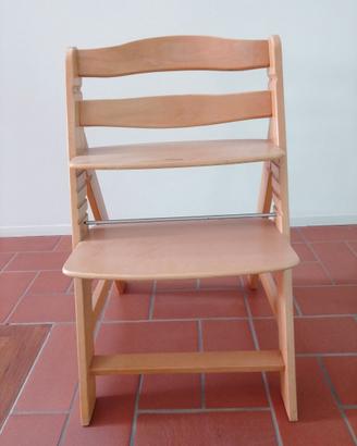 Sedia evolutiva
