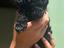 Immagine 1