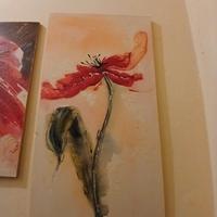 rappresentazione rosa