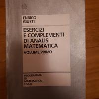 Analisi matematica esercizi e complementi