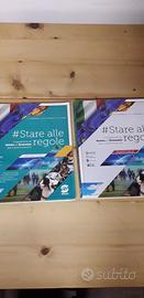 libro Stare alle regole 