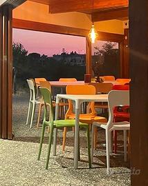 Sedie calligaris