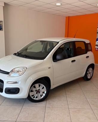 Fiat Panda 1.2 69 cv GPL EasyPower Lounge PERMUTE 