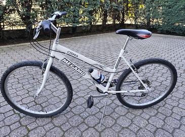 Bicicletta mountain bike ruote 26 pollici