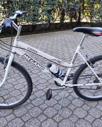 Bicicletta mountain bike ruote 26 pollici