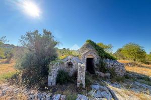 CASA DI CORTE A CEGLIE MESSAPICA