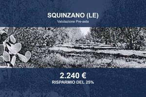 Immobile in asta di 1400 m² a Squinzano
