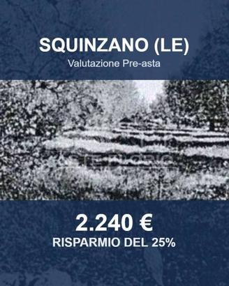 Immobile in asta di 1400 m² a Squinzano