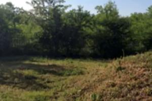 Tre terreni agricoli a Busto Arsizio (VA)