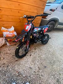 profive 50