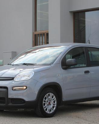 Fiat Panda 1.2 easypower Gpl s&s 69cv