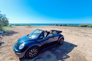 new beetle cabrio