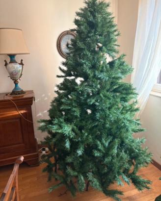 Albero altezza 2,30