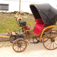 Carrozza Stile Victoria (Landau)