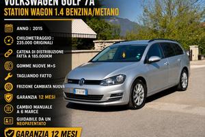 Volkswagen Golf Variant 1.4 TGI Comfortline BlueMo