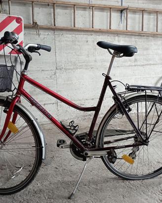 Bicicletta 