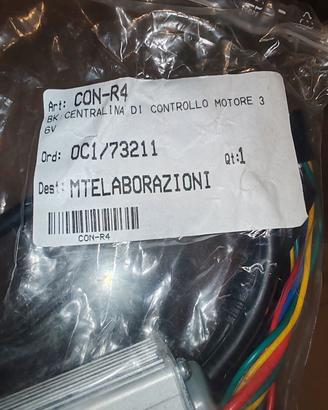 centralina bici elettrica