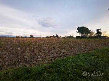 SAN CANZIAN D'ISONZO - Pieris - Terreno agricolo