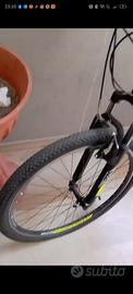 bici atala 