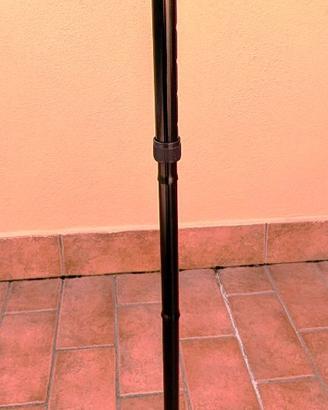 Bastone deambulazione o passeggio con luce 1 di 2