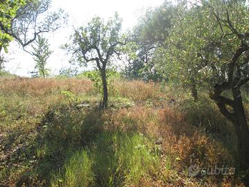 Rif. 242b terreno a montesilvano