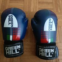 guanti boxe green hill