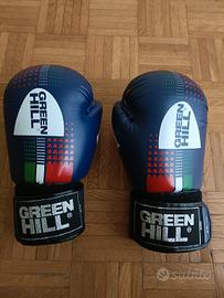 guanti boxe green hill