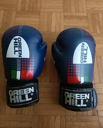 guanti boxe green hill