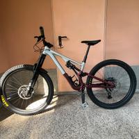 Specialized Stumpjumper EVO Alloy