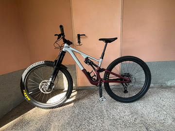 Specialized Stumpjumper EVO Alloy