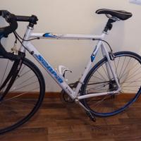 Bici corsa Scapin alluminio advantage campagnolo