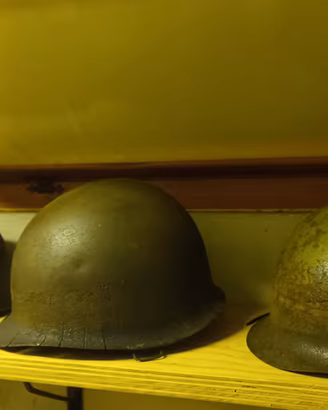 Gusci militari 