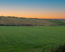 Terreno Agricolo irriguo - Termoli