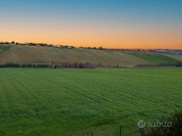 Terreno Agricolo irriguo - Termoli