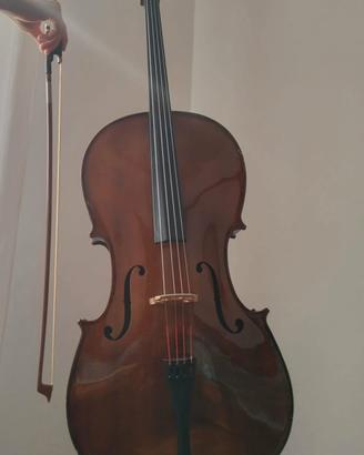 violoncello Rialto 4/4