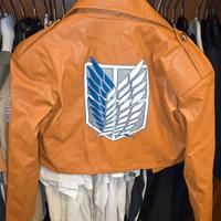 Cosplay Attacco dei giganti, attack on titan