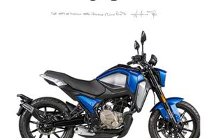 F.B. MONDIAL Altro Flex 300