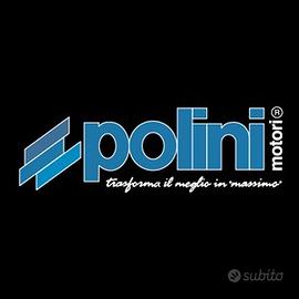 Vari pezzi polini originali + carburatore nuovi