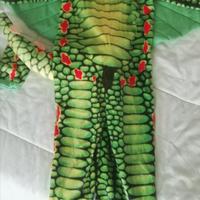 costume carnevale da drago 