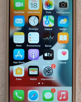 iPhone SE (1a Gen - 2016) 16GB Argento come nuovo