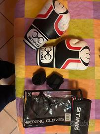 Guantoni da boxe