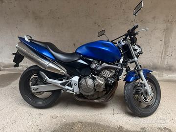 Hornet 600