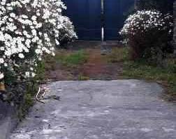 Rustico con terreno edificabile