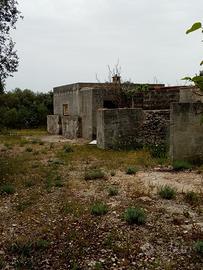 Terreno rustico in agro di Martina Franca