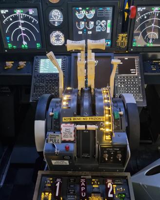 Manetta motorizzata B737