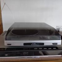 dolby surround completo